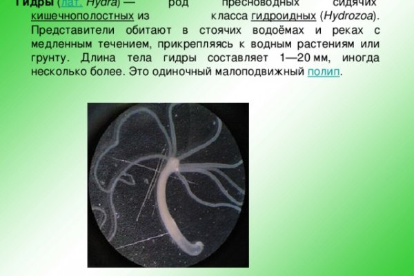 Кракен сайт ссылка тор браузере