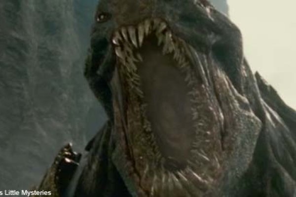 Kraken forum